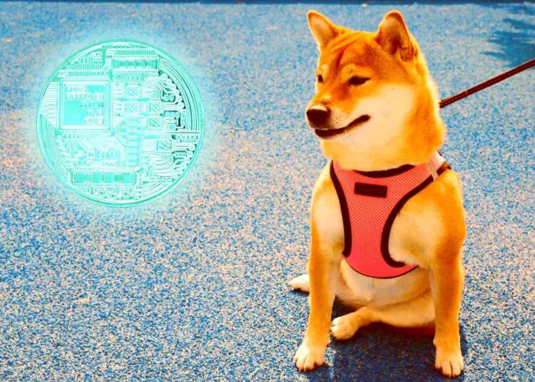 Dogecoin (DOGE) Drops 6% As Elon Musk’s SpaceX Test Rocket Launches, Explodes