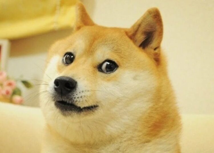 Twitter Changes Bird Logo to Picture of Doge, Dogecoin Price Surges 23% After the Change – Bitcoin News