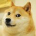 Twitter Changes Bird Logo to Picture of Doge, Dogecoin Price Surges 23% After the Change – Bitcoin News