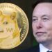 Elon Musk Asks Judge to Dismiss $258B Dogecoin Lawsuit — Insists Tweeting Support for DOGE Isn’t Unlawful – Featured Bitcoin News