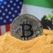 US Gov’t is planning to sell $1.18 Billion worth Bitcoin (BTC) connected to Silk Road