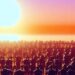 Rogue Validator Exploits MEV Bots on Ethereum, Resulting in $25.3M in Crypto Losses – Bitcoin News