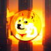 Dogecoin Whales Abruptly Transfer Over $182,000,000 in DOGE As Top Memecoin Erupts – Here’s Where the Crypto Is Going