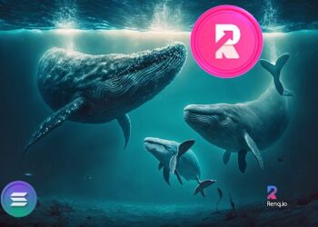 Whales are selling Solana (SOL) and buying RenQ Finance (RENQ) Presale.