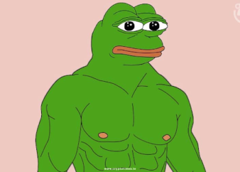 Pepe Whales Eyeing Pikamoon as the Next Big Thing in Meme Coins