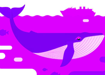 Bitcoin and XRP Whales Abruptly Move Over $650,000,000 Worth of Crypto in Just 24 Hours