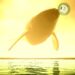 Dogecoin Whales Accumulate 1,470,000,000 DOGE in Three Months As Top Memecoin Shows Decoupling Signs: Santiment