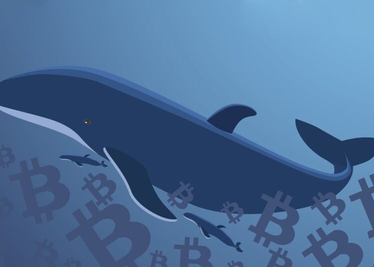 Dormant Bitcoin Wallet Linked to Mt Gox Saga Moves $60 Million for the First Time Since 2013 – Bitcoin News
