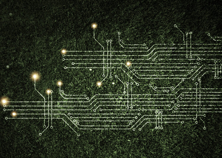 5 Blockchains to Have On Your Radar in 2023