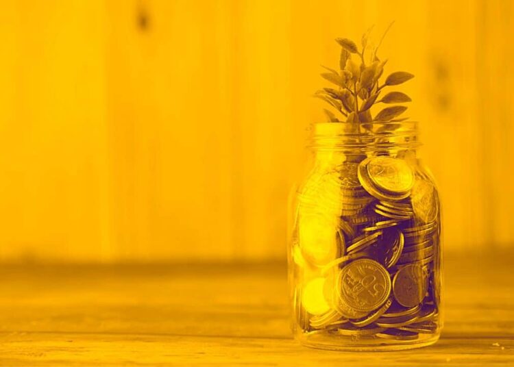 Diversification Doesn’t Work? NFT Influencers That Made or Lost Money With Memecoins