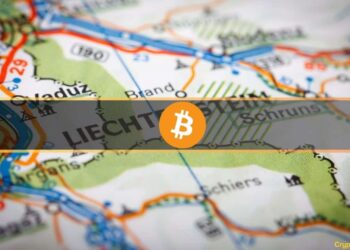 Liechtenstein Could Embrace Bitcoin as a Payment Method for Gvmt Services, Says PM
