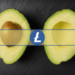 Litecoin Sees Increased Network Activity Ahead of Halving