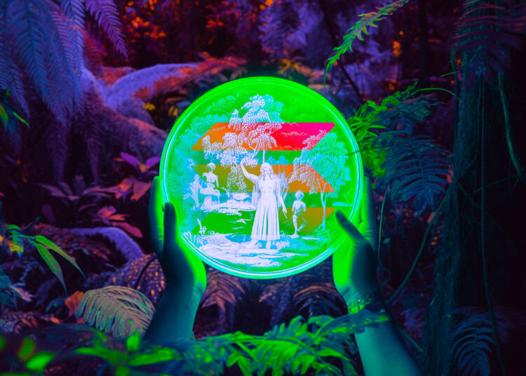 Solana Has Potential To Be the ‘Apple’ of Crypto, According to SOL Co-Founder Raj Gokal