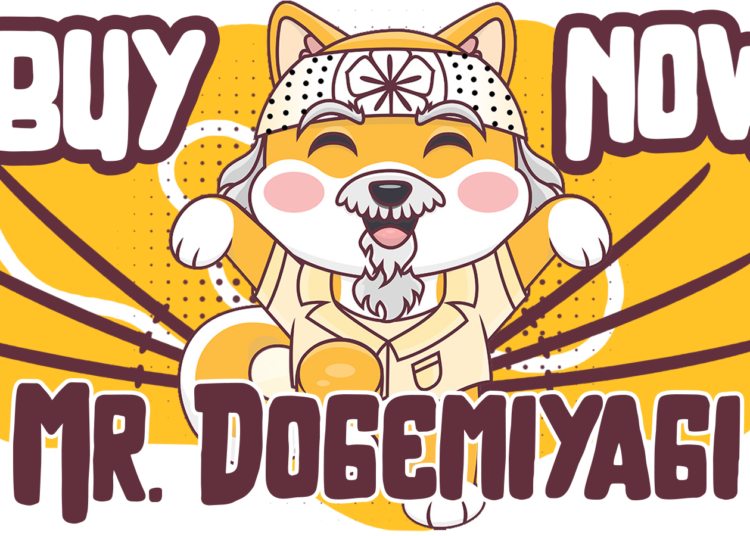 What is DogeMiyagi’s Role in Crypto Cohesion