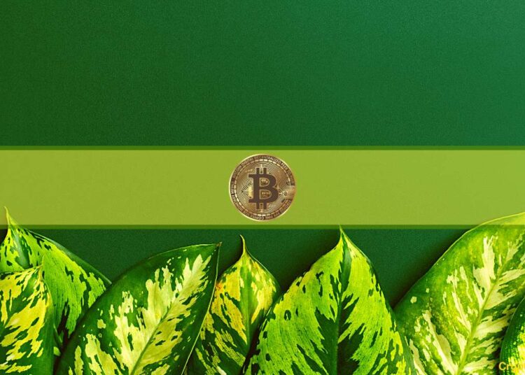 Bitcoin’s Next Target Stands Near $36,000: Matrixport Data