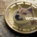 Study Reveals Top Countries Fueling Meme Coin Interest in 2023 – Altcoins Bitcoin News