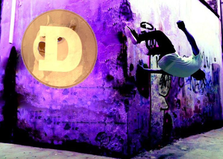 Dogecoin (DOGE) Surpasses Bitcoin (BTC) in Daily Transactions Thanks to New DRC-20 Standard