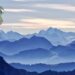 PEPE Token Continues Downward Spiral, Registers 60% Drop From All-Time High – Market Updates Bitcoin News