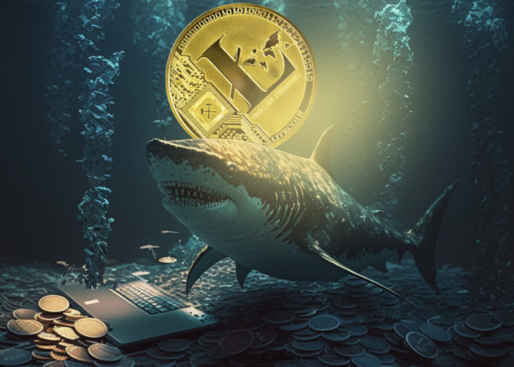 Litecoin (LTC) vs Polygon (MATIC), Collateral Network (COLT) Set…