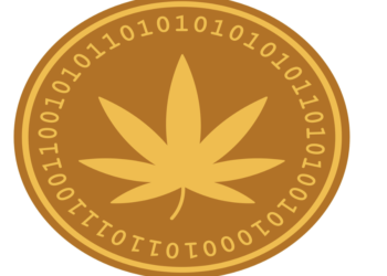 Cannation (CNNC) up over 1,250,000% in 30 days, is DigiToads…