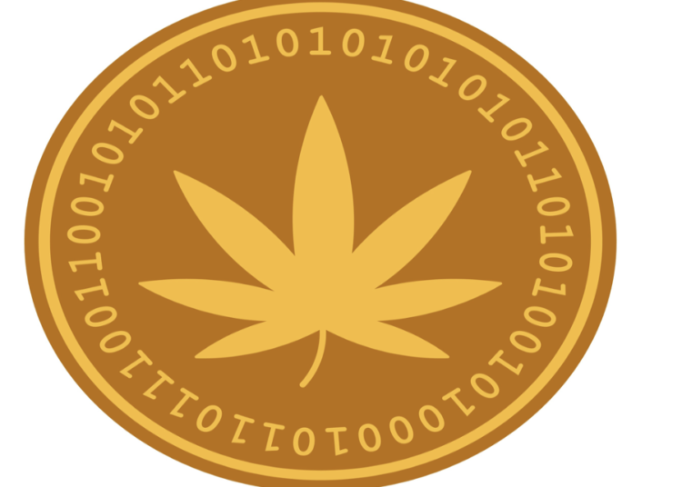 Cannation (CNNC) up over 1,250,000% in 30 days, is DigiToads…