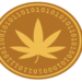 Cannation (CNNC) up over 1,250,000% in 30 days, is DigiToads…