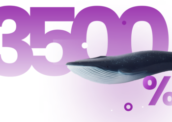 Fantom (FTM) And Enjin Coin (ENJ) Launch New Updates, Collateral….