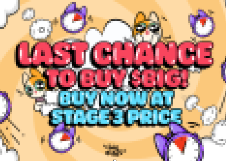 Take Advantage of Crypto Gambling With The Best P2E Project…