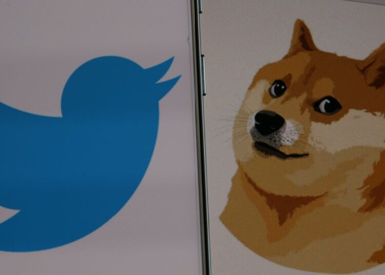 SHIB, DOGE Near Multi-Month Lows, as Musk Finds New Twitter CEO – Market Updates Bitcoin News