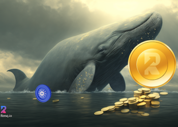 Cardano (ADA) sees a massive decline in the number of whales, most now buying RenQ Finance (RENQ)