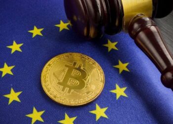 The European Parliament passed MiCA, While DigiToads (TOADS) Presale Booms