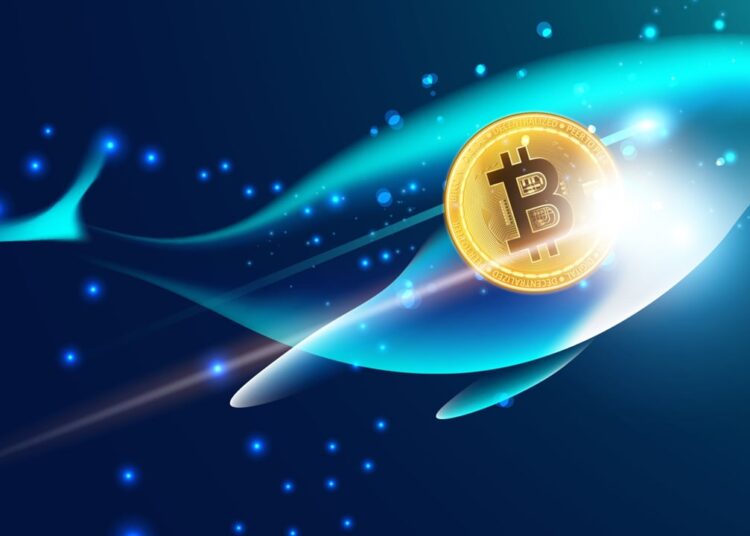 $3.7M Worth of BTC Suddenly Moves After Close to 12 Years of Dormancy – Bitcoin News