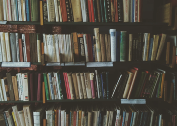 The Oracle’s Verse: A Collaborative NFT Story