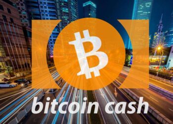 BCH Surges 30% to $300: Unveiling the Driving Force