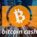 BCH Surges 30% to $300: Unveiling the Driving Force