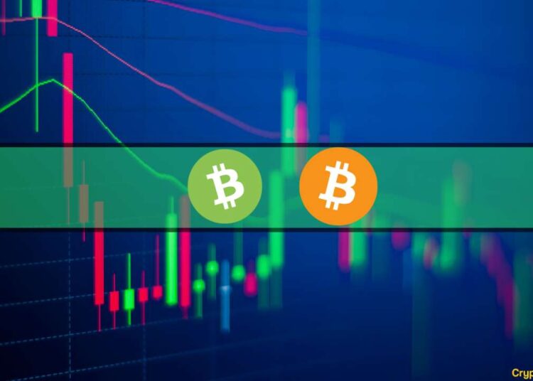BTC Tests $31K as Bitcoin Cash Soars 30%: Market Watch