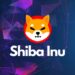 Shiba Inu Dominates the Market as Shibarium Unveils Groundbreaking ‘Shibacals’ Revolutionizing NFT Validation and Bridging the Gap to Real-World Assets