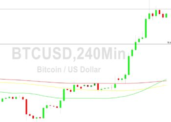 Bitcoin Price Analysis: Peak at 30800 After Stops