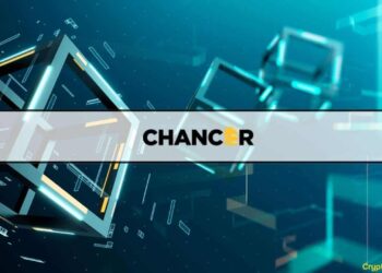 Understanding CHANCER Tokens and Participation