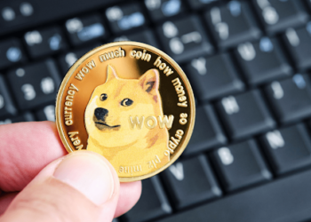 Dogecoin’s Devastating 90% Crash from All-Time High Leaves Investors Seeking Redemption in a Promising Upcoming Memecoin