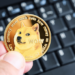 Dogecoin’s Devastating 90% Crash from All-Time High Leaves Investors Seeking Redemption in a Promising Upcoming Memecoin