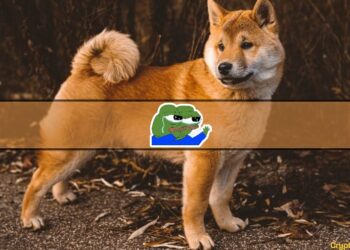 4 Meme Coins to Watch as PEPE Coin Mania Winds Down