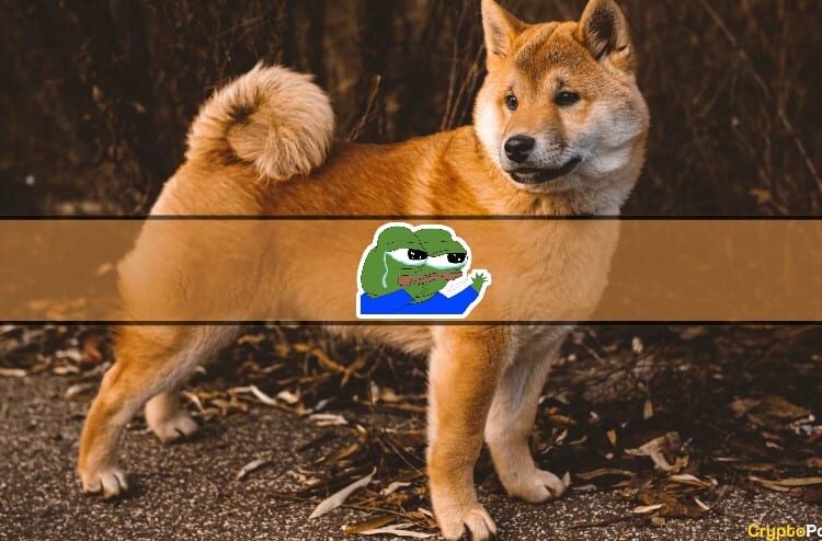 4 Meme Coins to Watch as PEPE Coin Mania Winds Down