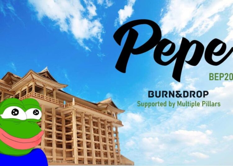 New PEPE Memecoin to Launch on BNB Chain