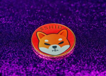 Shiba Inu Developer’s Electric Collaboration with Rock’n Vodka