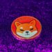 Shiba Inu Developer’s Electric Collaboration with Rock’n Vodka