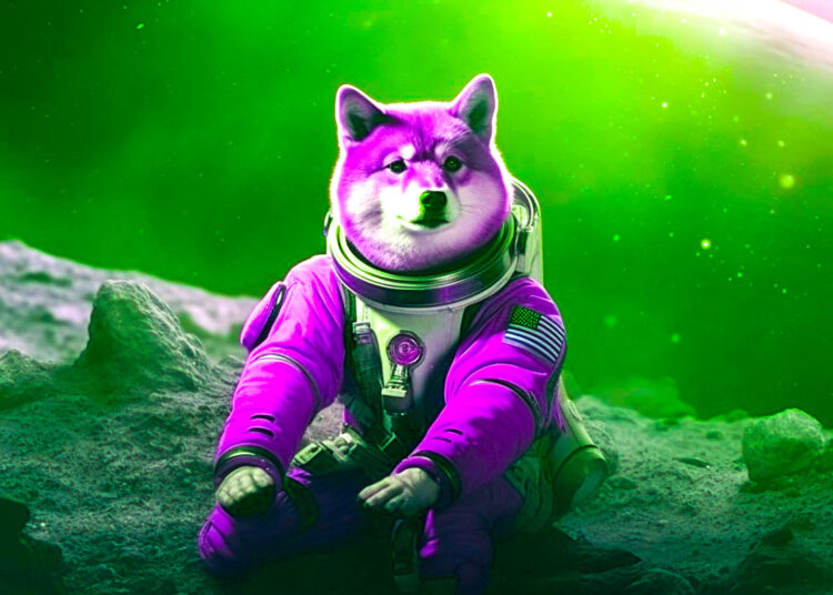 More Than 75% of Shiba Inu and Floki Investors Are Sitting on Losses: Crypto Analytics Firm IntoTheBlock