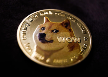 Can Dogecoin Break Past The $0.5 This Year?