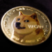 Can Dogecoin Break Past The $0.5 This Year?