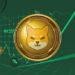 91% of Shiba Inu holders are losing money, Tradecurve holders already received 80% Up